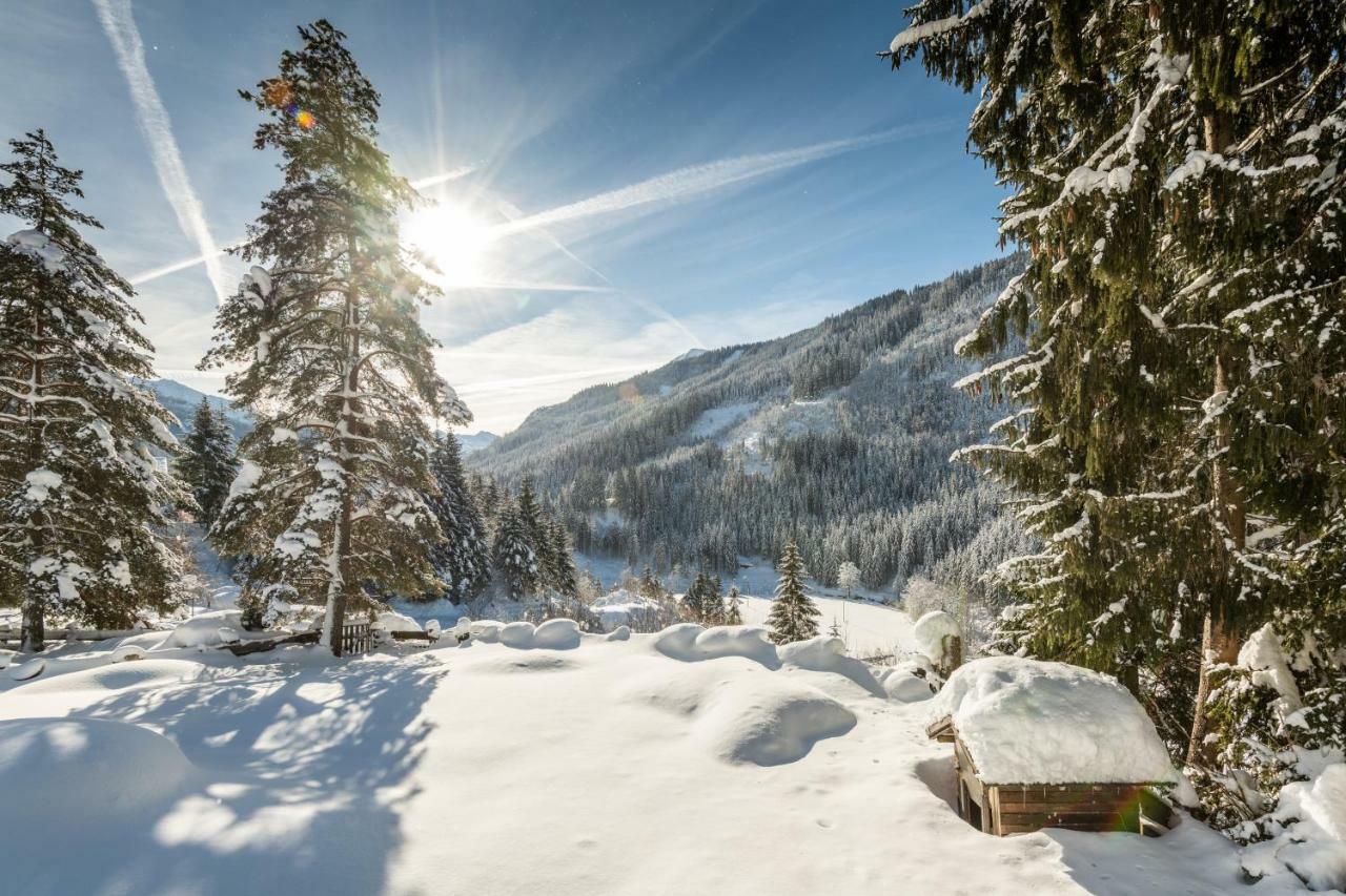 Hotel Hammerwirt - Forellenhof Untertauern Eksteriør billede